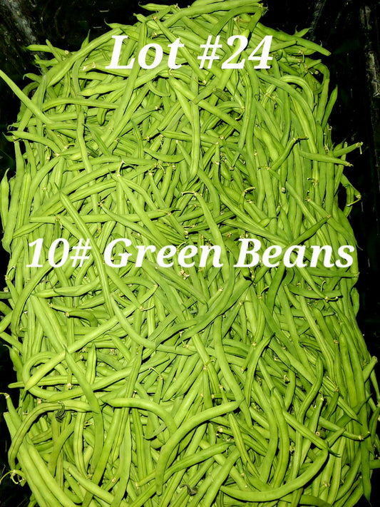 10# Organic Green Beans