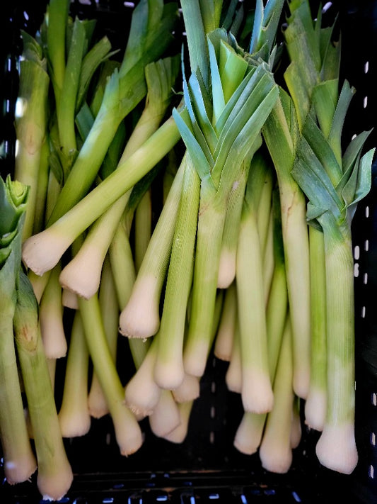(Lot 8) 10 Organic Leek